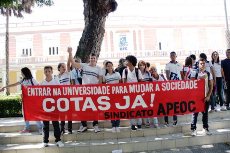 cotas ja