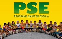 pse 2013