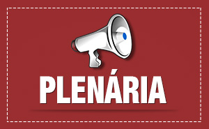 plenaria.08.07.site