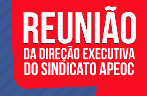 REUNIÃO EXECUTIVA.300X
